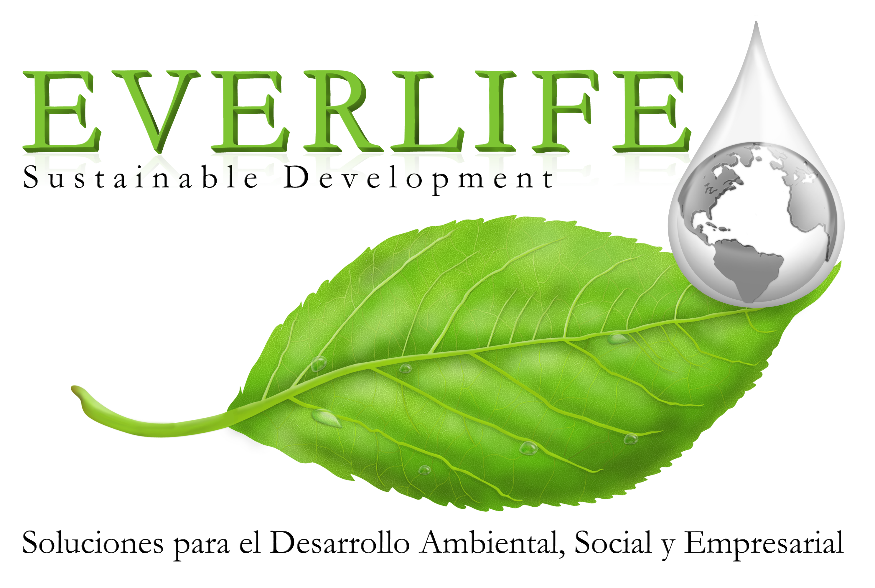 Logo Everlife