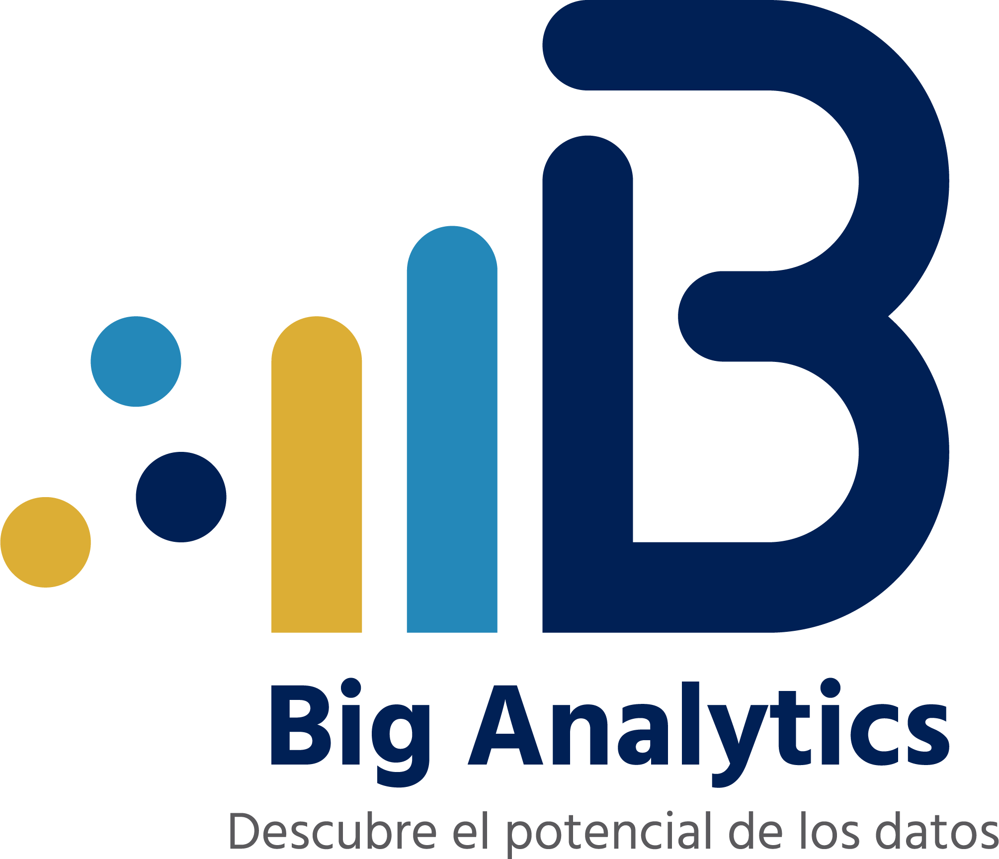 Logo Big Analytics