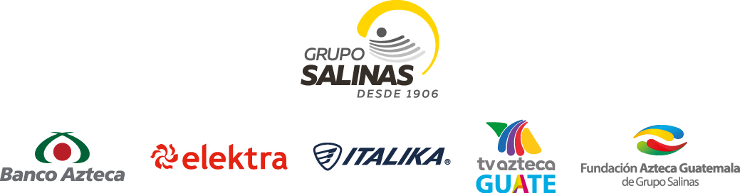 Grupo-Salinas